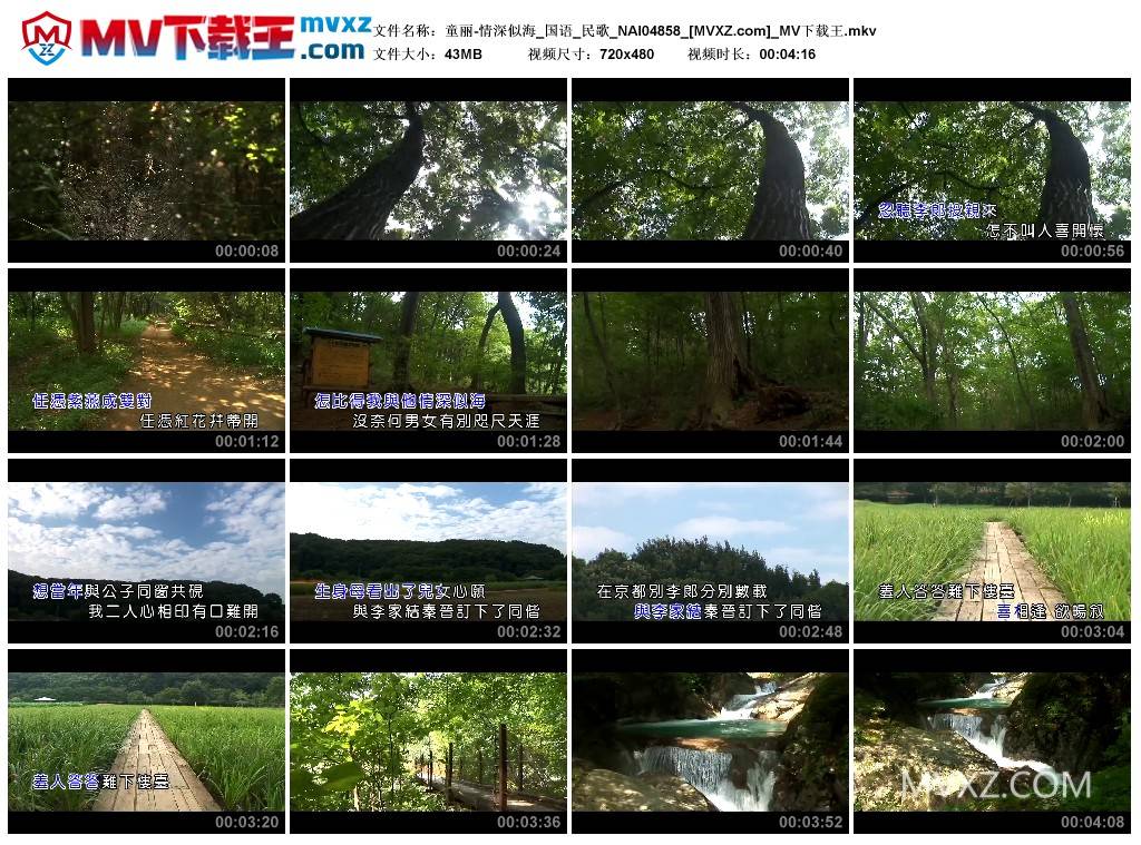 童丽-情深似海_国语_民歌_NAI04858